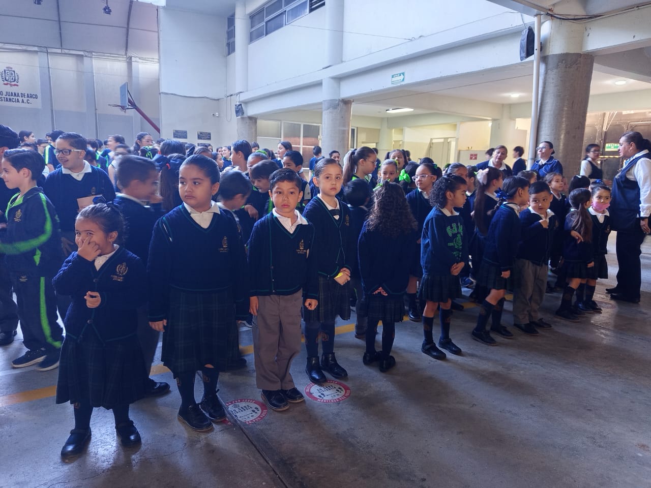 Primaria Bilingüe